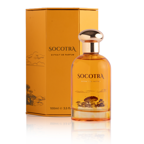 Socotra | Extrait de parfum (100ml)
