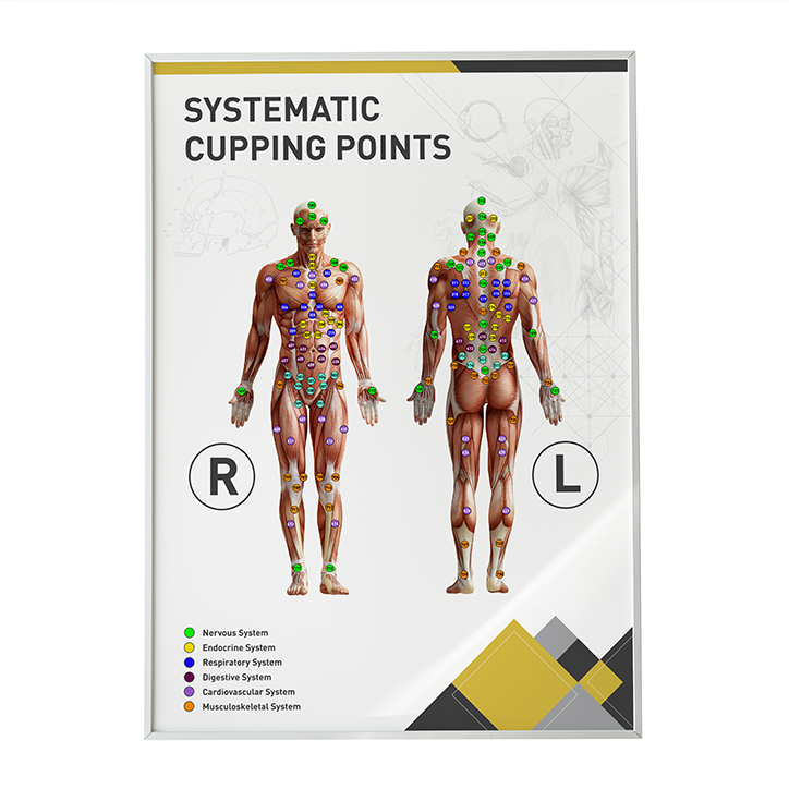 Culing Point System A3 Poster Systematic Cupping Points – The Suuk